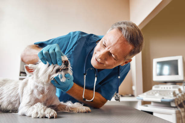 Best Emergency Tooth Extraction in Paterson, NJ